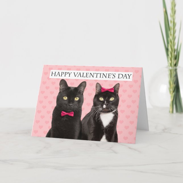 Cartes Pour Fêtes Annuelles Heureuse Sainte-Valentin Pour Deux Chats Humour (Devant)