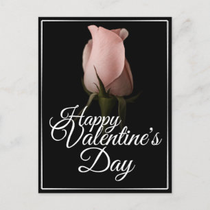 Cartes Pour Fêtes Annuelles Heureuse Sainte-Valentin rose