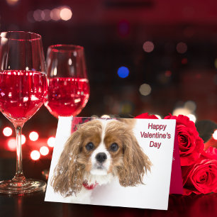 Cartes Pour Fêtes Annuelles Heureuse Sainte-Valentin Snowy Cavalier King Charl
