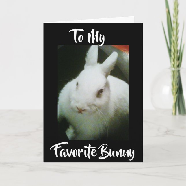 CARTES POUR FÊTES ANNUELLES HEUREUX **EASTER** À MON "BUNNY" (Devant)