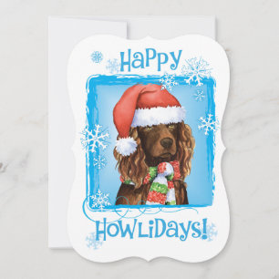 Cartes Pour Fêtes Annuelles Heureux Howlidays Boykin Spaniel