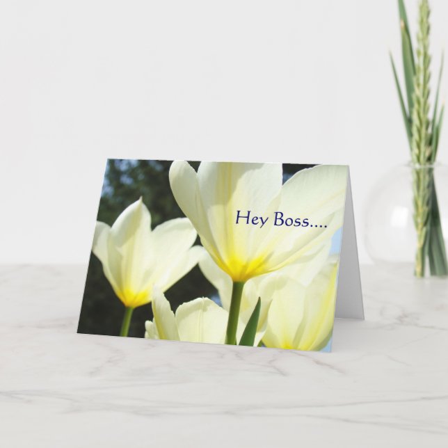 Cartes Pour Fêtes Annuelles Hey Patron MERRY MERRY JETEZ Noël à vous! (Devant)