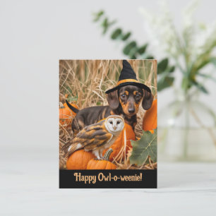 Cartes Pour Fêtes Annuelles Hialloween Cute Dachshund Pup Owl