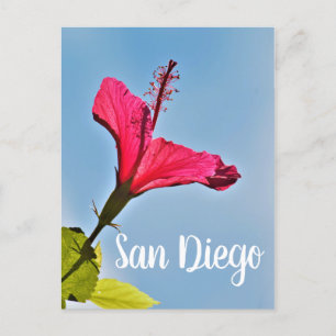 Cartes Pour Fêtes Annuelles Hibiscus de San Diego