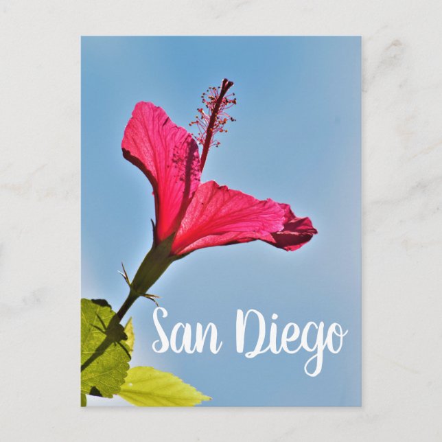 Cartes Pour Fêtes Annuelles Hibiscus de San Diego (Devant)