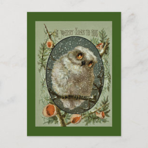 Cartes Pour Fêtes Annuelles Hibou de Joyeux Noël
