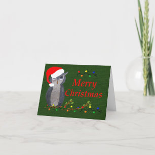 Cartes Pour Fêtes Annuelles Hiboux de Noël