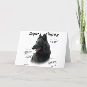 Cartes Pour Fêtes Annuelles Histoire Belge Du Chien À Cheval; Tout Sur Le Chie
