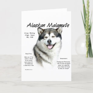 Cartes Pour Fêtes Annuelles Histoire du malamute en Alaska, Tout sur les malam
