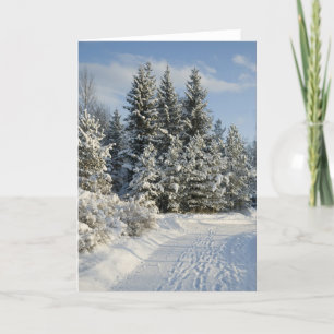 Cartes Pour Fêtes Annuelles Hiver