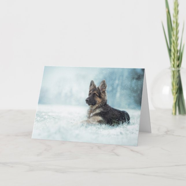 Cartes Pour Fêtes Annuelles Hiver (Devant)