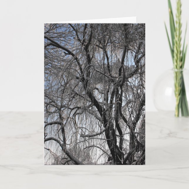 Cartes Pour Fêtes Annuelles Hiver ~ 24 (Devant)