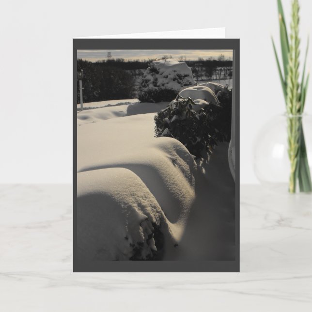 Cartes Pour Fêtes Annuelles Hiver ~ 29 (Devant)