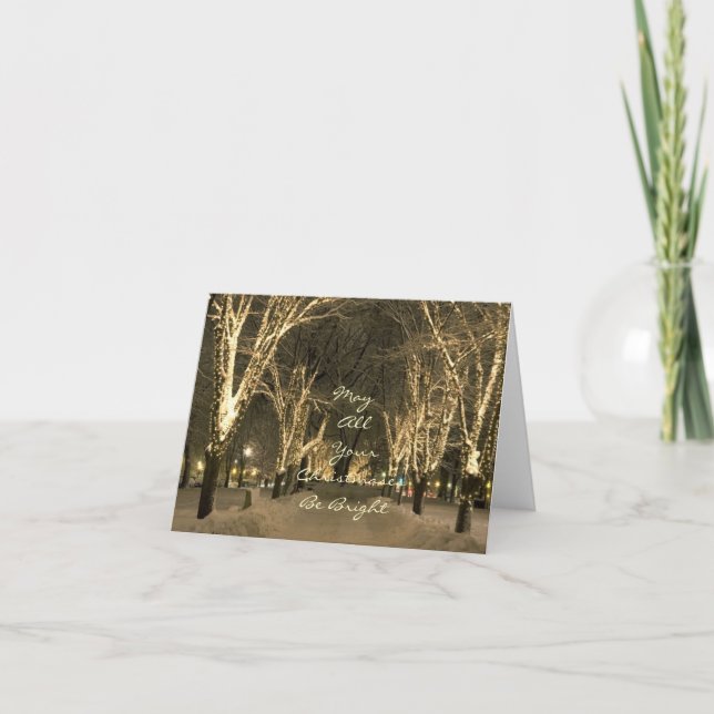 Cartes Pour Fêtes Annuelles Hiver à Boston - scène de parc (Devant)