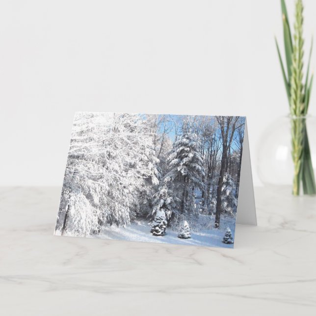 Cartes Pour Fêtes Annuelles Hiver dans le Maine (Devant)