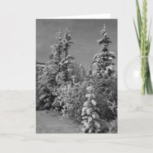 Cartes Pour Fêtes Annuelles Hiver en noir et blanc