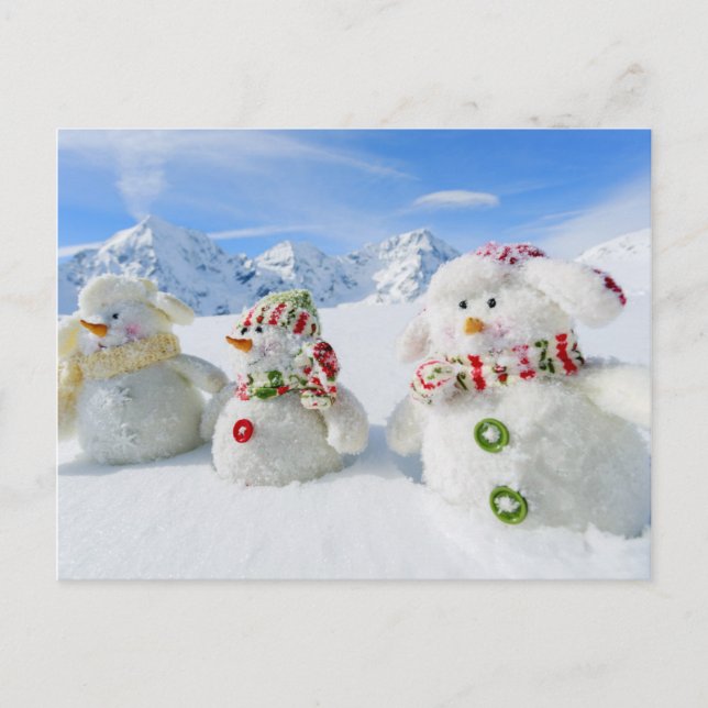 Cartes Pour Fêtes Annuelles Hiver, Neige, Soleil Et Amusement, Noël (Devant)