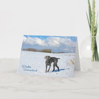 Cartes Pour Fêtes Annuelles Hiver Weimarland