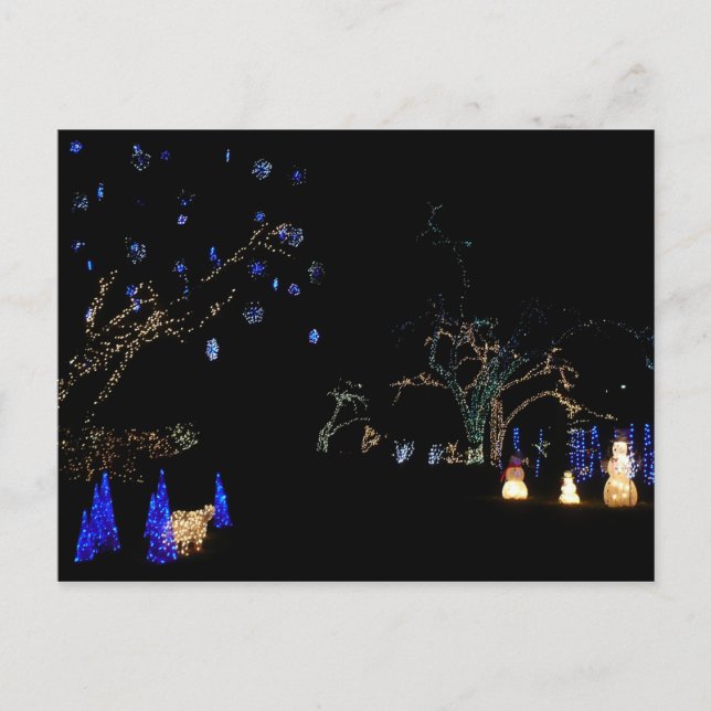 Cartes Pour Fêtes Annuelles Hiver Wonderland Lumières Bleu et blanc Vacances (Devant)