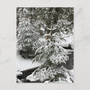 Cartes Pour Fêtes Annuelles Hivernal Neige Cabine Fever Creek Forêt en plein a