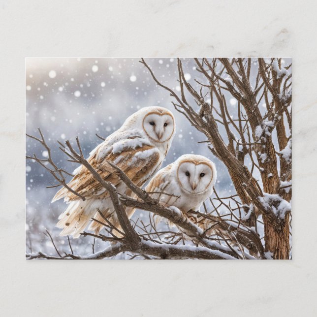 Cartes Pour Fêtes Annuelles Hivernal Solstice Yule Chouette Neige (Devant)
