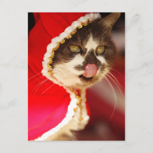Cartes Pour Fêtes Annuelles Hmm - Yummy Christmas Traitements