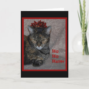 Cartes Pour Fêtes Annuelles Ho Ho chat de bourdonnement