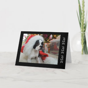 Cartes Pour Fêtes Annuelles Ho ! Ho ! ho ! Joyeux Noël Lola B. Boston