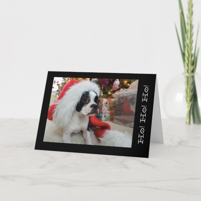 Cartes Pour Fêtes Annuelles Ho ! Ho ! ho ! Joyeux Noël Lola B. Boston (Devant)