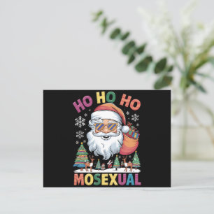 Cartes Pour Fêtes Annuelles Ho Ho Homosexuel Noël Père Noël Gay pride de vacan