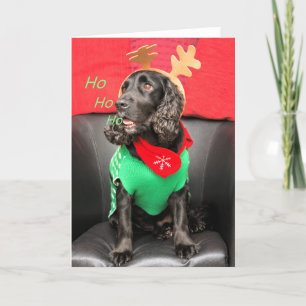 Cartes Pour Fêtes Annuelles HoHoHo mignonne chien
