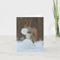 Holding d'écureuil et grignotage de boule de neige