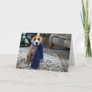 Cartes Pour Fêtes Annuelles Holiday Cheer from Pit Bull Rescue Dog