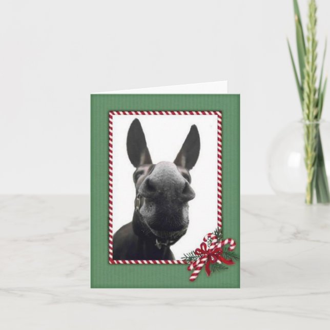 Cartes Pour Fêtes Annuelles Holiday Cody (Devant)