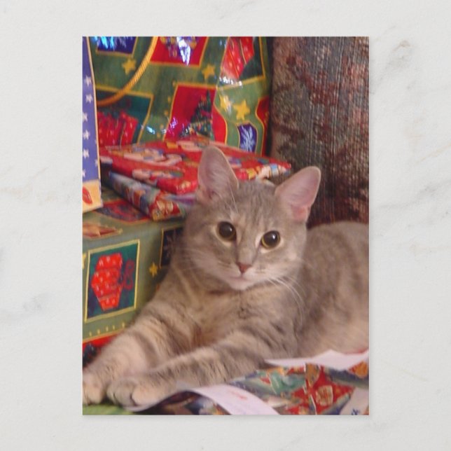 Cartes Pour Fêtes Annuelles Holiday Kitty (Devant)