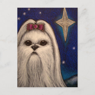 CARTES POUR FÊTES ANNUELLES HOLIDAY MALTESE CHIEN - BELEN STAR 1