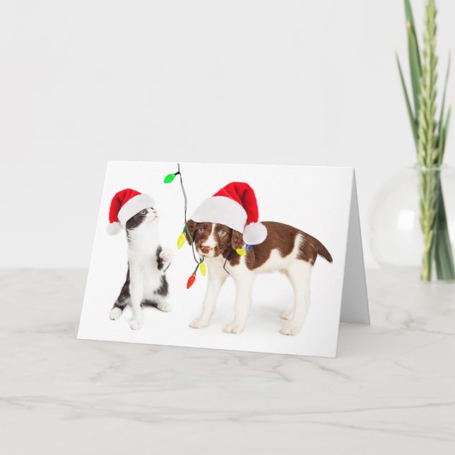 Cartes Pour Fêtes Annuelles Holiday Pet Mischief (Devant)