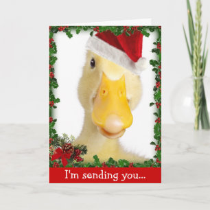Cartes Pour Fêtes Annuelles Holiday Quack