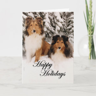 Cartes Pour Fêtes Annuelles Holiday Shelties