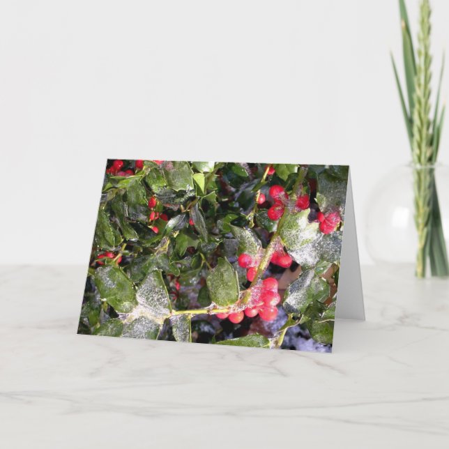 Cartes Pour Fêtes Annuelles Holly (Devant)