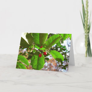 Cartes Pour Fêtes Annuelles Holly Feuilles II Vacances Nature Botanique