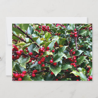 Cartes Pour Fêtes Annuelles Holly leaves and Berries