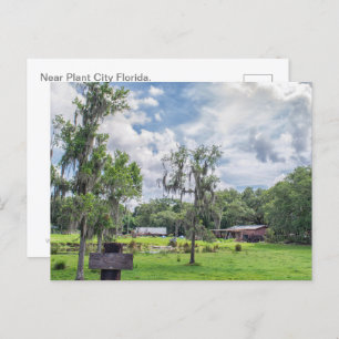Cartes Pour Fêtes Annuelles Homestead Central Florida