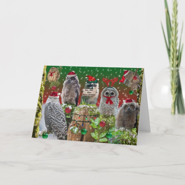 Cartes Pour Fêtes Annuelles Hoo Hoo Joyeux Noël (Devant)