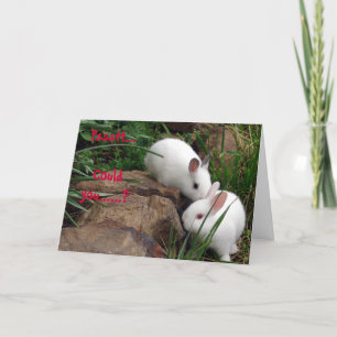 Cartes Pour Fêtes Annuelles Hoppy Valentine's Day