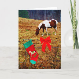 Cartes Pour Fêtes Annuelles Horse de Christmas