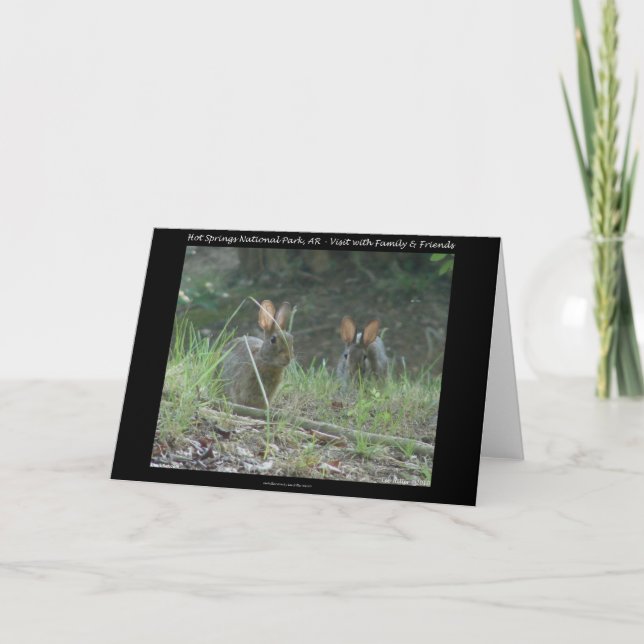 Cartes Pour Fêtes Annuelles Hot Springs National Park, AR Wild Rabbits Cadeaux (Devant)