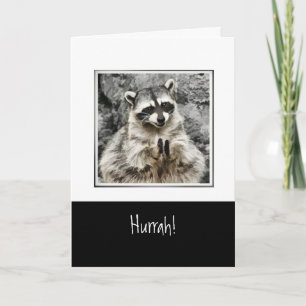 Cartes Pour Fêtes Annuelles Hourra !  Cute Racoon Clapping Funny Animal Art