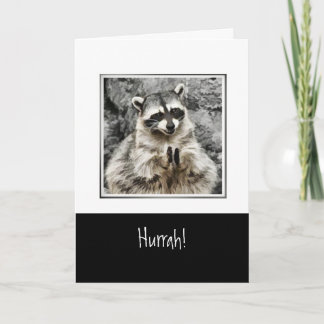 Cartes Pour Fêtes Annuelles Hourra ! Cute Racoon Clapping Funny Animal Art