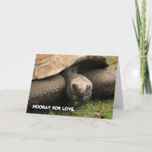 Cartes Pour Fêtes Annuelles Hourra pour l'amour